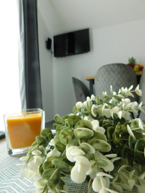 Apartman Nativis
